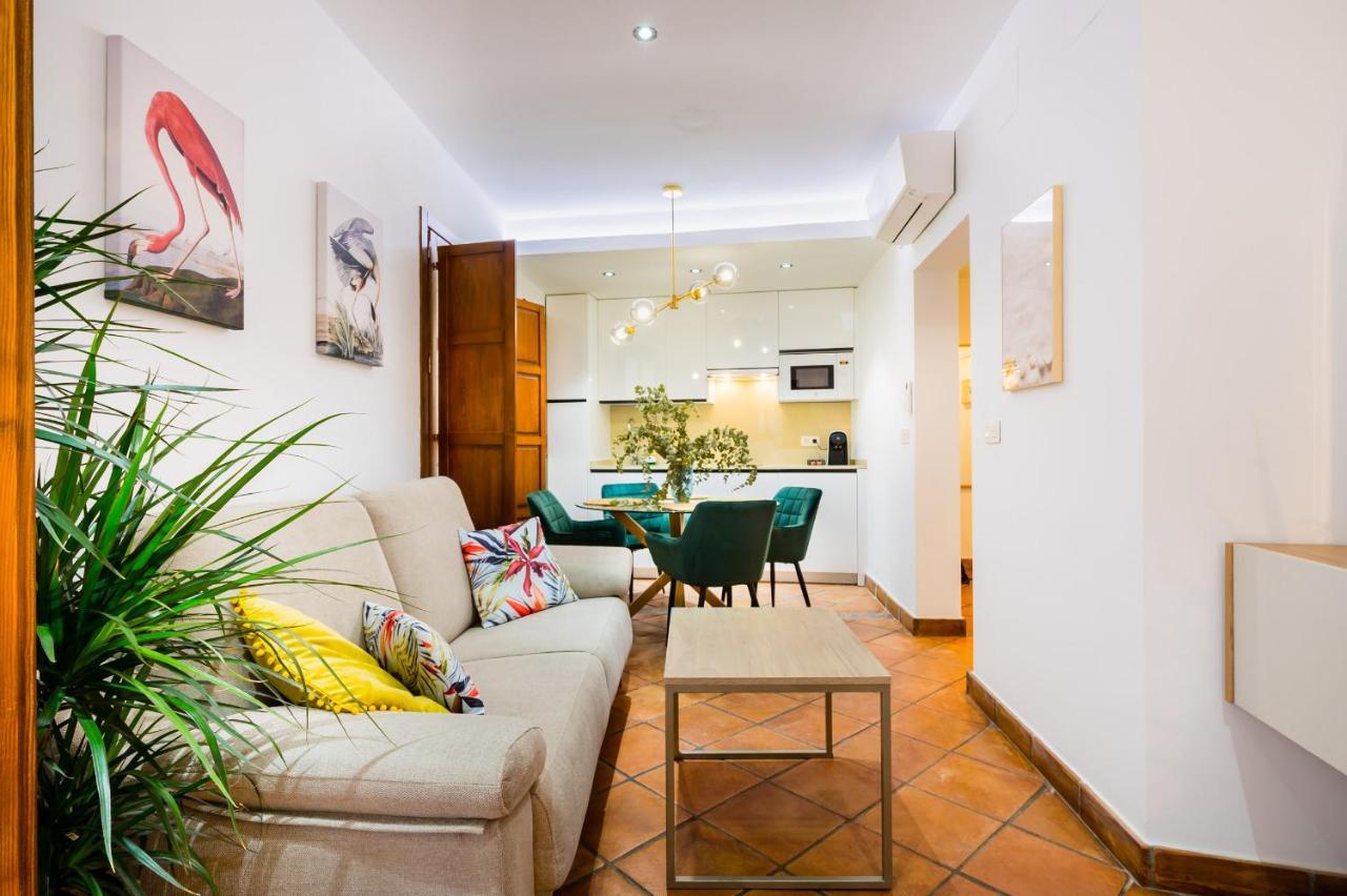 Appartement Duplex Deluxe Center & Parking Opcional *