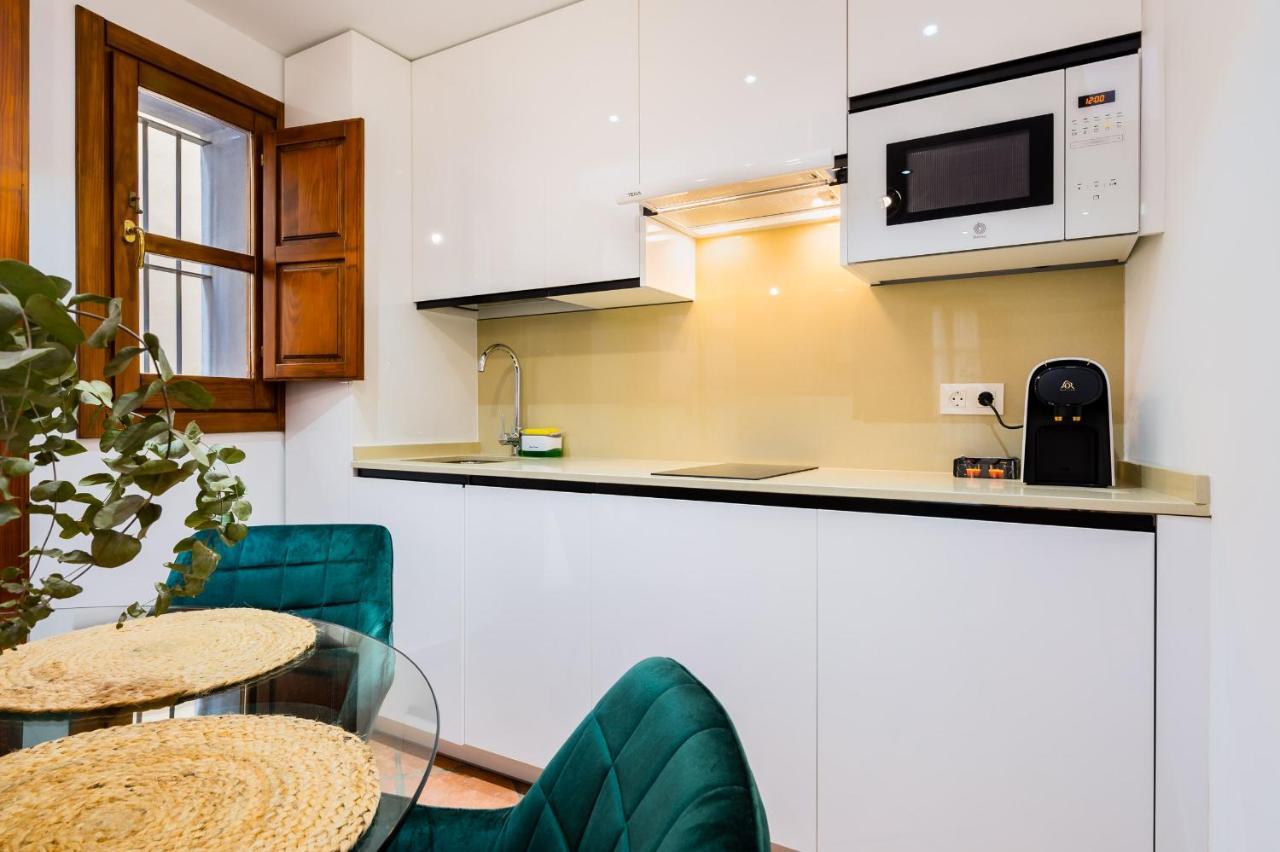 Duplex Deluxe Center & Parking Opcional Appartement Sevilla